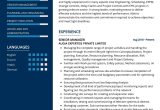 Senior Information Technology Manager Resume Sample Senior Manager Cv Example 2022 Writing Tips – Resumekraft