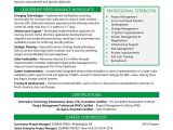 Senior It Project Manager Resume Sample Resume Samples