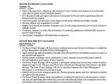 Senior It Project Manager Resume Sample Senior It Project Manager Resume