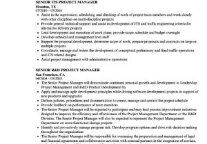 Senior It Project Manager Resume Sample Senior It Project Manager Resume