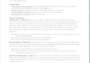 Senior Java Developer Resume Sample India Lebenslauf Vorlage Site Senior Java Developer Resume Sample