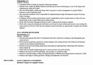 Senior Java Developer Resume Sample India Senior Java Developer Resume Sample India Best Resume