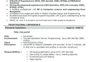 Senior Java Developer Resume Sample India Senior Java Developer Resume Sample India Best Resume