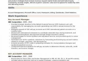 Senior Key Account Manager Resume Sample Key Account Manager Resume Samples