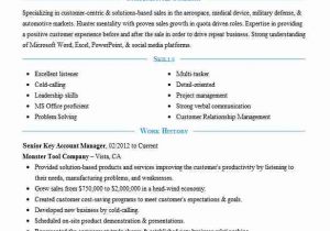 Senior Key Account Manager Resume Sample Sales Key Account Manager Resume Example Airtel Nigeria