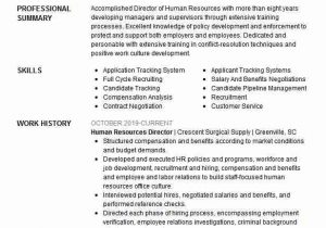Senior Talent Acquisition Specialist Resume Sample Senior Talent Acquisition Manager Resume Example Young S
