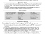 Senior Technical Program Manager Resume Sample New Senior Technical Project Manager Resume Senior Project