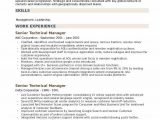 Senior Technical Program Manager Resume Sample Senior Technical Manager Resume Samples