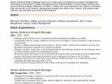 Senior Technical Program Manager Resume Sample Senior Technical Project Manager Resume Samples