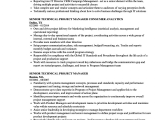 Senior Technical Program Manager Resume Sample Senior Technical Project Manager Resume Samples