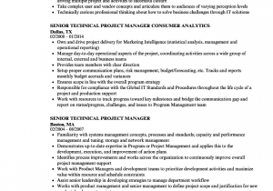 Senior Technical Program Manager Resume Sample Senior Technical Project Manager Resume Samples