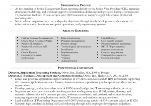 Senior Technical Project Manager Resume Sample New Senior Technical Project Manager Resume Senior Project