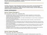 Senior Technical Project Manager Resume Sample Senior Project Manager Resume Samples