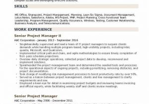 Senior Technical Project Manager Resume Sample Senior Project Manager Resume Samples