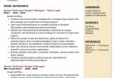 Senior Technical Project Manager Resume Sample Senior Technical Project Manager Resume Samples