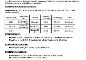 Seo Resume Sample for 1 Year Experience Resume Template for 1 Year Experience 1 Unconventional