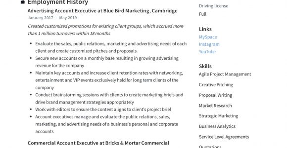 Short and Engaging Pitch About Yourself Resume Sample يعزف البيانو الإسكان سنيزي Short Pitch About Yourself