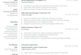 Should I Use A Resume Template Reddit Clean Resume Designs. Free Indesign Templates Included. (x-post …