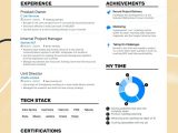 Should I Use A Template for My Resume Resume Icons – Should You Use them and How?
