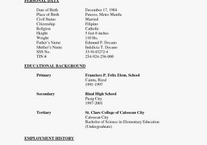 Simple Resume Sample for Job Application Simple Sample Resume for Job Application Best Resume