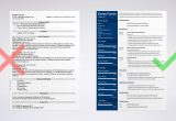 Smeal College Of Business Resume Template Human Resources (hr) Resume Examples & Guide (lancarrezekiq25 Tips)