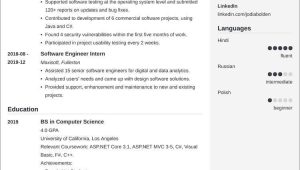 Software Engineer Home Depot Resume Sample Entry Level software Engineer Resumeâsample and Tips
