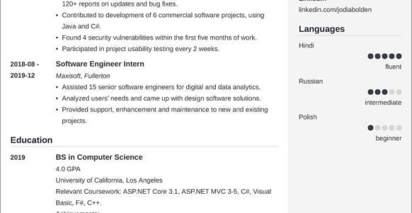 Software Engineer Home Depot Resume Sample Entry Level software Engineer Resumeâsample and Tips