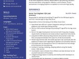 Software Engineer In Test Sample Resume Senior Test Engineer Cv Sample 2022 Writing Tips – Resumekraft