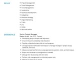 Software Industry Project Manager Sample Resume Project Manager Resume Example 2022 Writing Tips – Resumekraft