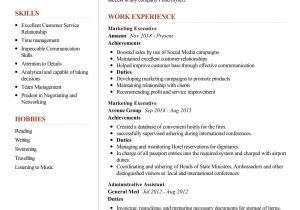 Software Marketing Manager Functional Resume Sample Marketing Executive Resume Sample 2022 Writing Tips – Resumekraft