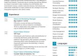 Software Marketing Manager Functional Resume Sample Marketing Manager Resume Sample 2022 Writing Tips – Resumekraft