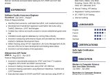 Software Quality assurance Engineer Resume Sample software Quality assurance Engineer Resume 2021 Writing Tips …