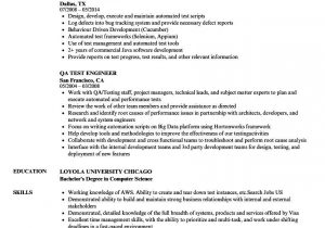 Software Testing Resume Samples for 2 Years Experience Pin Di Free Templates Designs