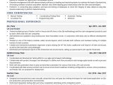 Software Testing Team Lead Resume Sample Qa Lead Resume Examples & Template (with Job Winning Tips)