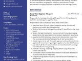 Software Testing Team Lead Resume Sample Senior Test Engineer Cv Sample 2022 Writing Tips – Resumekraft
