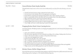 Soup Kitchen Volunteer Experience Resume Sample Kitchen Hand Resume & Writing Guide  12 Free Templates 2020