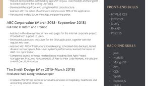 Spark Sample Resume for Full Time Jobs the Best Resume Examples for A Perfect Job Application – Freesumes