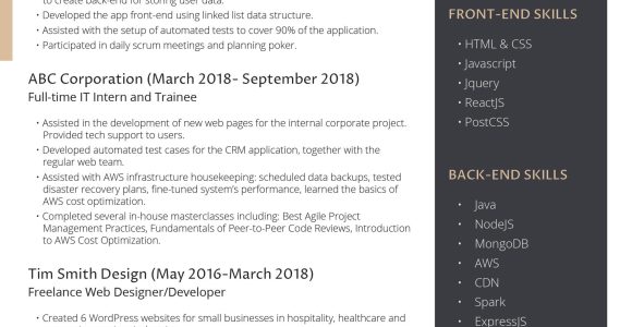 Spark Sample Resume for Full Time Jobs the Best Resume Examples for A Perfect Job Application – Freesumes