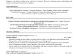 Special Education Department Chair Resume Sample Faculty Resume Example Resume Professional Writers