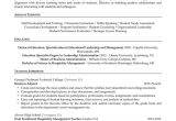Special Education Department Chair Resume Sample Faculty Resume Example Resume Professional Writers