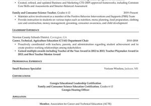 Special Education Department Chair Resume Sample Faculty Resume Example Resume Professional Writers