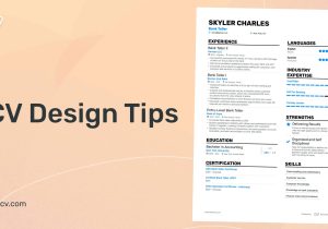 Special Education Department Chair Resume Sample Special Education Teacher Resume Examples & Guide for 2022 (layout …