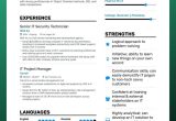 Special Skills On A Resume Samples How to Create A Resume Skills Section to Impress Recruiters (lancarrezekiq10 …