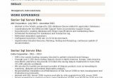 Sql Dba Sample Resumes for Experienced Senior Sql Server Dba Resume Samples
