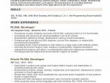 Sql Developer Sample Resume for Experienced Pl Sql Developer Resume Samples