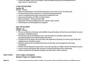 Sql Developer Sample Resume for Experienced Sql Developer Resume