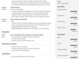 Sql Developer Sample Resume for Experienced Sql Developer Resume Sample 20 Examples & Tips