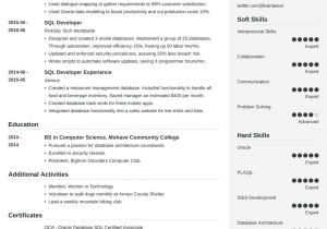 Sql Developer Sample Resume for Experienced Sql Developer Resume Sample 20 Examples & Tips
