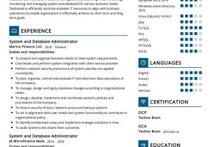 Sql Server Administrator Consultant Resume Sample System and Database Administrator Cv Sample 2022 Writing Tips …
