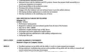 Sql Server Database Developer Resume Sample Database Developer Skills Resume March 2021